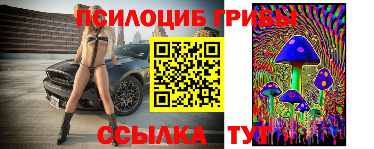 Псилоцибиновые грибы ЛСД Печора